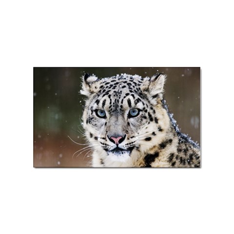 Snow Leopard Sticker Rectangular (10 pack) from ArtsNow.com Front