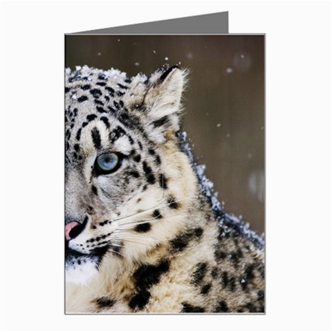 Snow Leopard Greeting Card from ArtsNow.com Left