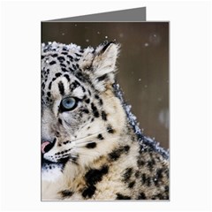 Snow Leopard Greeting Card from ArtsNow.com Left