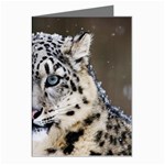 Snow Leopard Greeting Cards (Pkg of 8)