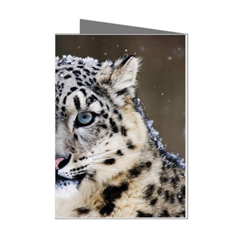 Snow Leopard Mini Greeting Cards (Pkg of 8) from ArtsNow.com Left