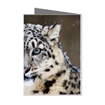 Snow Leopard Mini Greeting Cards (Pkg of 8)