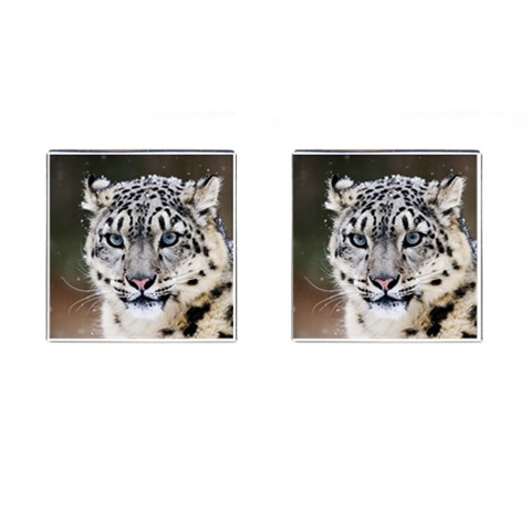 Snow Leopard Cufflinks (Square) from ArtsNow.com Front(Pair)