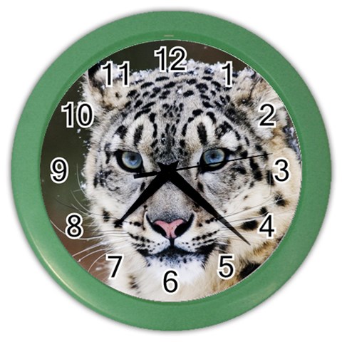 Snow Leopard Color Wall Clock from ArtsNow.com Front