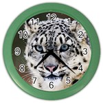 Snow Leopard Color Wall Clock