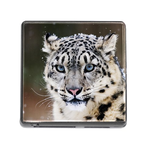 Snow Leopard Memory Card Reader with Storage (Square) from ArtsNow.com Front
