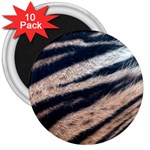 Tiger Skin 3  Magnet (10 pack)