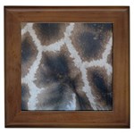 Giraffe Skin Framed Tile