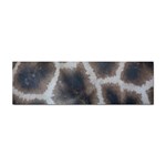 Giraffe Skin Sticker (Bumper)