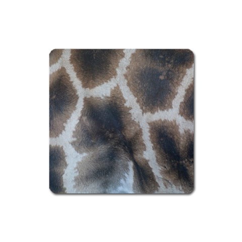 Giraffe Skin Magnet (Square) from ArtsNow.com Front