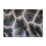 Giraffe Skin Sticker A4 (100 pack)