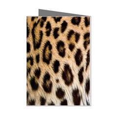 Leopard Skin Mini Greeting Cards (Pkg of 8) from ArtsNow.com Left
