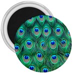 Peacock Feather 1 3  Magnet