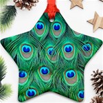 Peacock Feather 1 Ornament (Star)