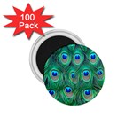 Peacock Feather 1 1.75  Magnet (100 pack) 