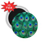 Peacock Feather 1 2.25  Magnet (10 pack)