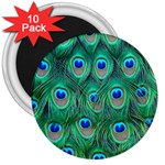 Peacock Feather 1 3  Magnet (10 pack)