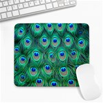 Peacock Feather 1 Large Mousepad