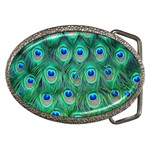 Peacock Feather 1 Belt Buckle