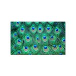 Peacock Feather 1 Sticker (Rectangular)