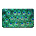 Peacock Feather 1 Magnet (Rectangular)
