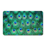 Peacock Feather 1 Magnet (Rectangular)