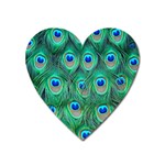 Peacock Feather 1 Magnet (Heart)