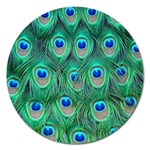 Peacock Feather 1 Magnet 5  (Round)