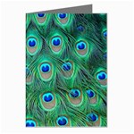 Peacock Feather 1 Greeting Cards (Pkg of 8)