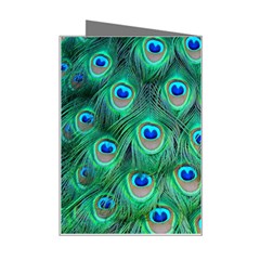 Peacock Feather 1 Mini Greeting Card from ArtsNow.com Right