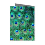 Peacock Feather 1 Mini Greeting Cards (Pkg of 8)