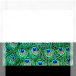 Peacock Feather 1 Jigsaw Puzzle (Rectangular)