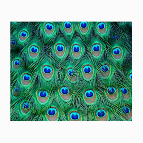 Peacock Feather 1 Glasses Cloth (Small) from ArtsNow.com Front