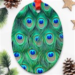 Peacock Feather 1 Oval Ornament (Two Sides)