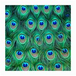 Peacock Feather 1 Glasses Cloth (Medium)