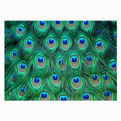 Peacock Feather 1 Glasses Cloth (Large, Two Sides) from ArtsNow.com Front