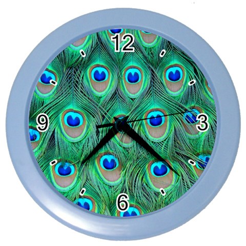Peacock Feather 1 Color Wall Clock from ArtsNow.com Front