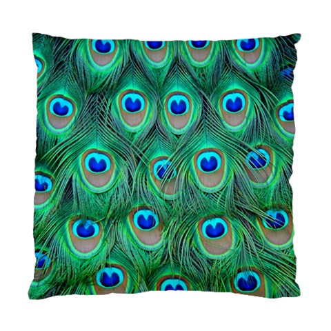 Peacock Feather 1 Cushion Case (One Side) from ArtsNow.com Front