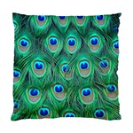 Peacock Feather 1 Cushion Case (One Side)