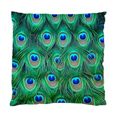 Peacock Feather 1 Cushion Case (Two Sides) from ArtsNow.com Back