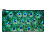 Peacock Feather 1 Pencil Case