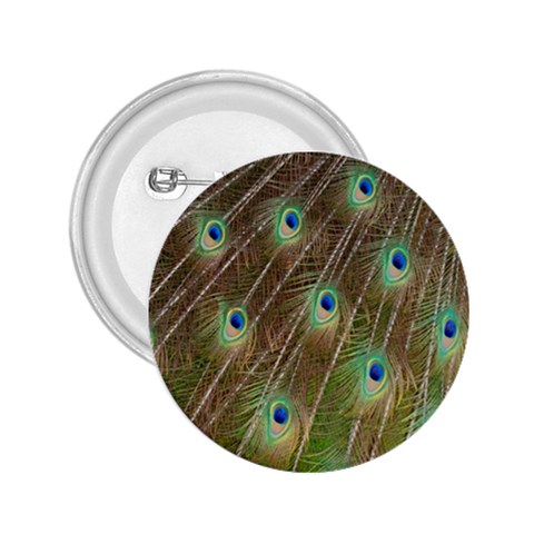 Peacock Feathers 2 2.25  Button from ArtsNow.com Front
