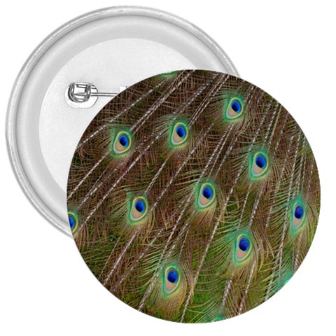 Peacock Feathers 2 3  Button from ArtsNow.com Front