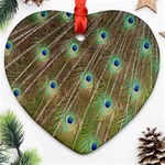 Peacock Feathers 2 Ornament (Heart)