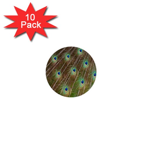 Peacock Feathers 2 1  Mini Button (10 pack)  from ArtsNow.com Front