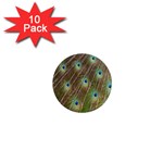 Peacock Feathers 2 1  Mini Magnet (10 pack) 