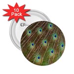 Peacock Feathers 2 2.25  Button (10 pack)