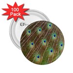 Peacock Feathers 2 2.25  Button (100 pack)