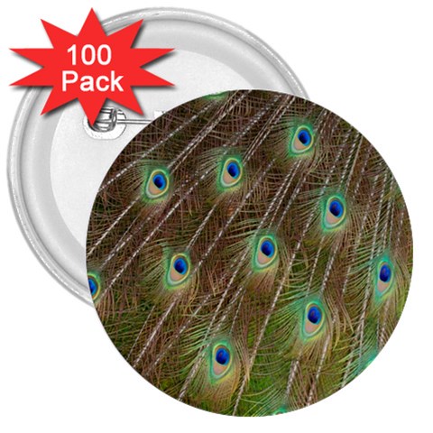 Peacock Feathers 2 3  Button (100 pack) from ArtsNow.com Front