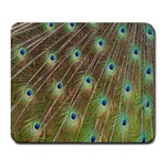 Peacock Feathers 2 Large Mousepad